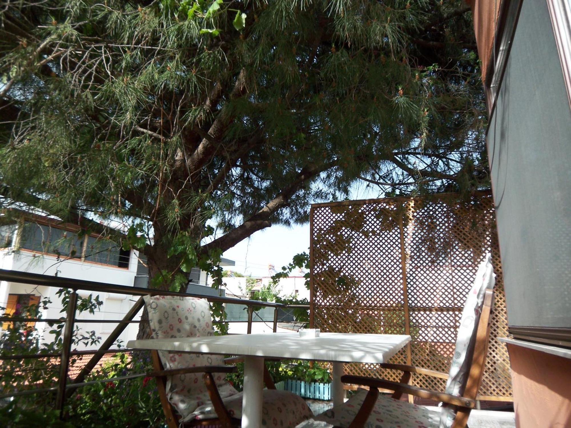 Izmir Tatil Evi Beach Resort Seferihisar Ürkmez エクステリア 写真